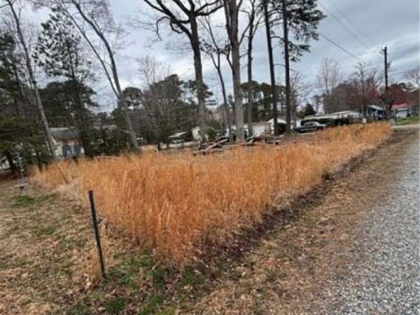 TBD Washington Street , Reedville, VA 22539