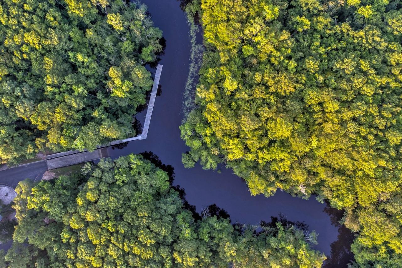 5 Stonington Dr. Photo 67