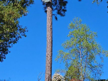 21946 Angeli Pl, Grass Valley, CA 95949 Photo