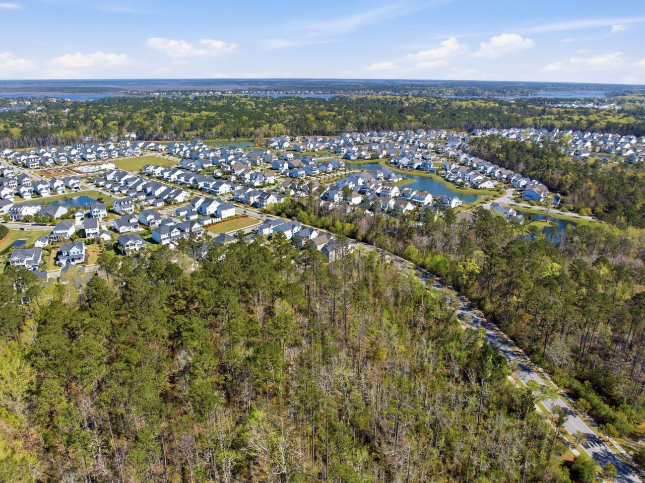 1645 Banning Street Photo 55