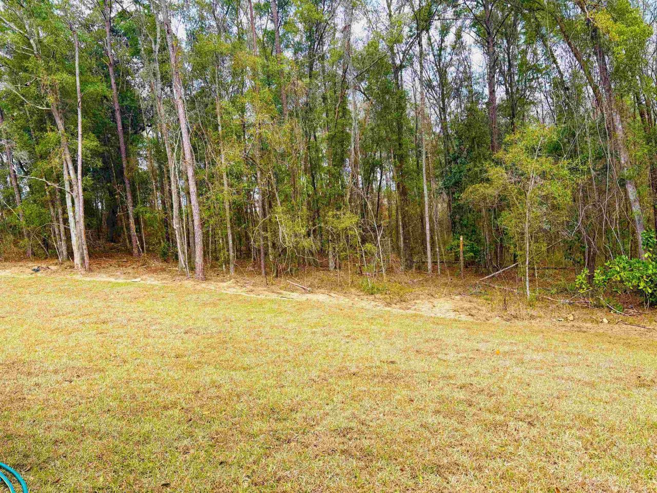 305 Delores Madison Drive , Midway, FL 32343 Photo