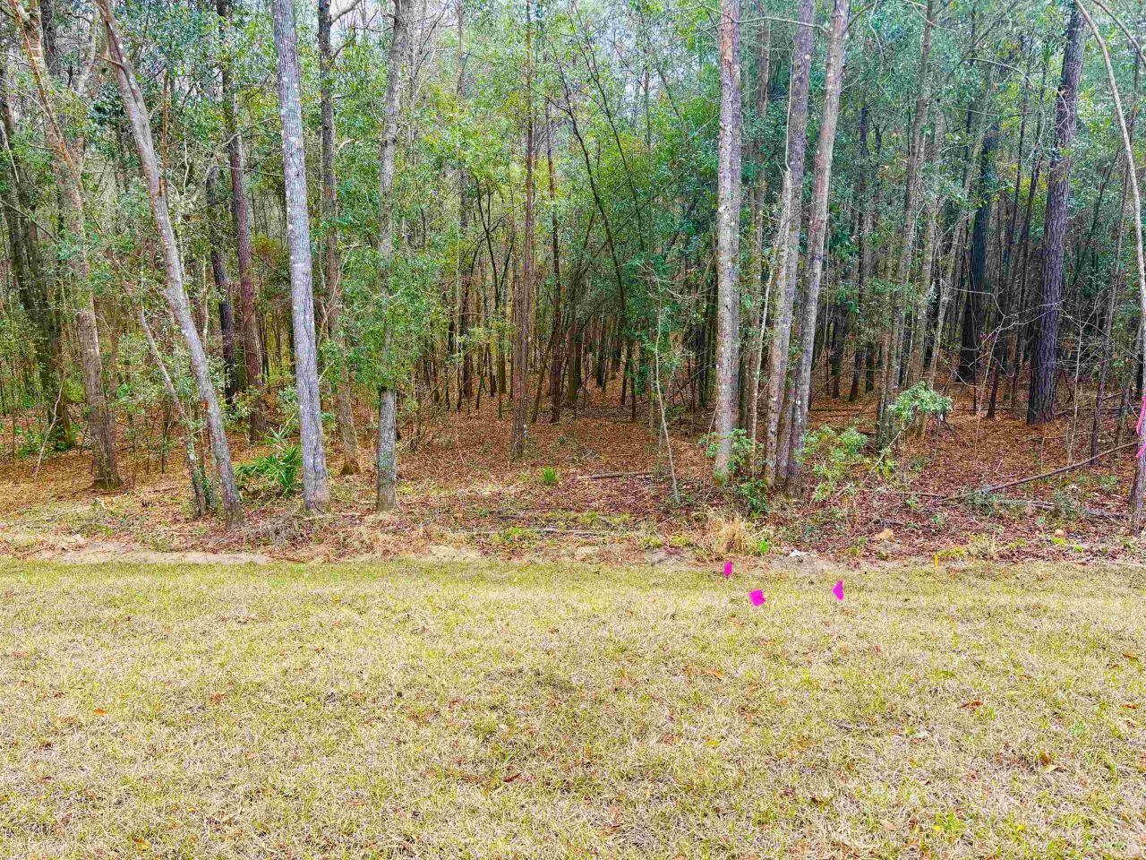 305 Delores Madison Drive , Midway, FL 32343 Photo