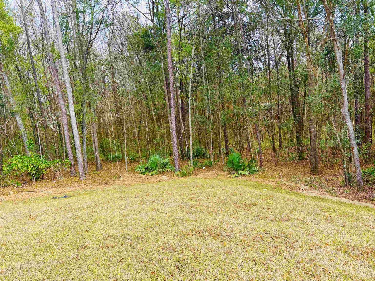 305 Delores Madison Drive , Midway, FL 32343 Photo