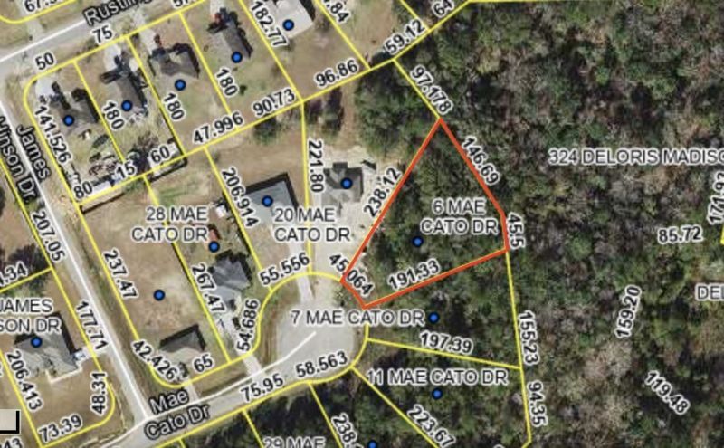 305 Delores Madison Drive , Midway, FL 32343 Photo