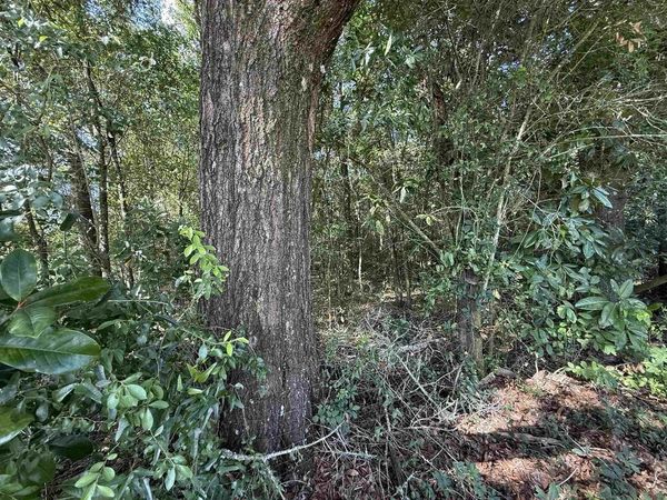 XXX LEWIS Lane, Quincy, FL 32351