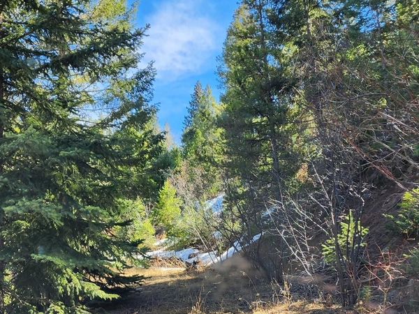 10151 Coronado Circle, Morrison, CO 80465