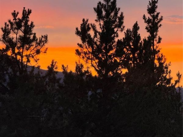 446 Mt Massive Drive , Twin Lakes, CO 81251