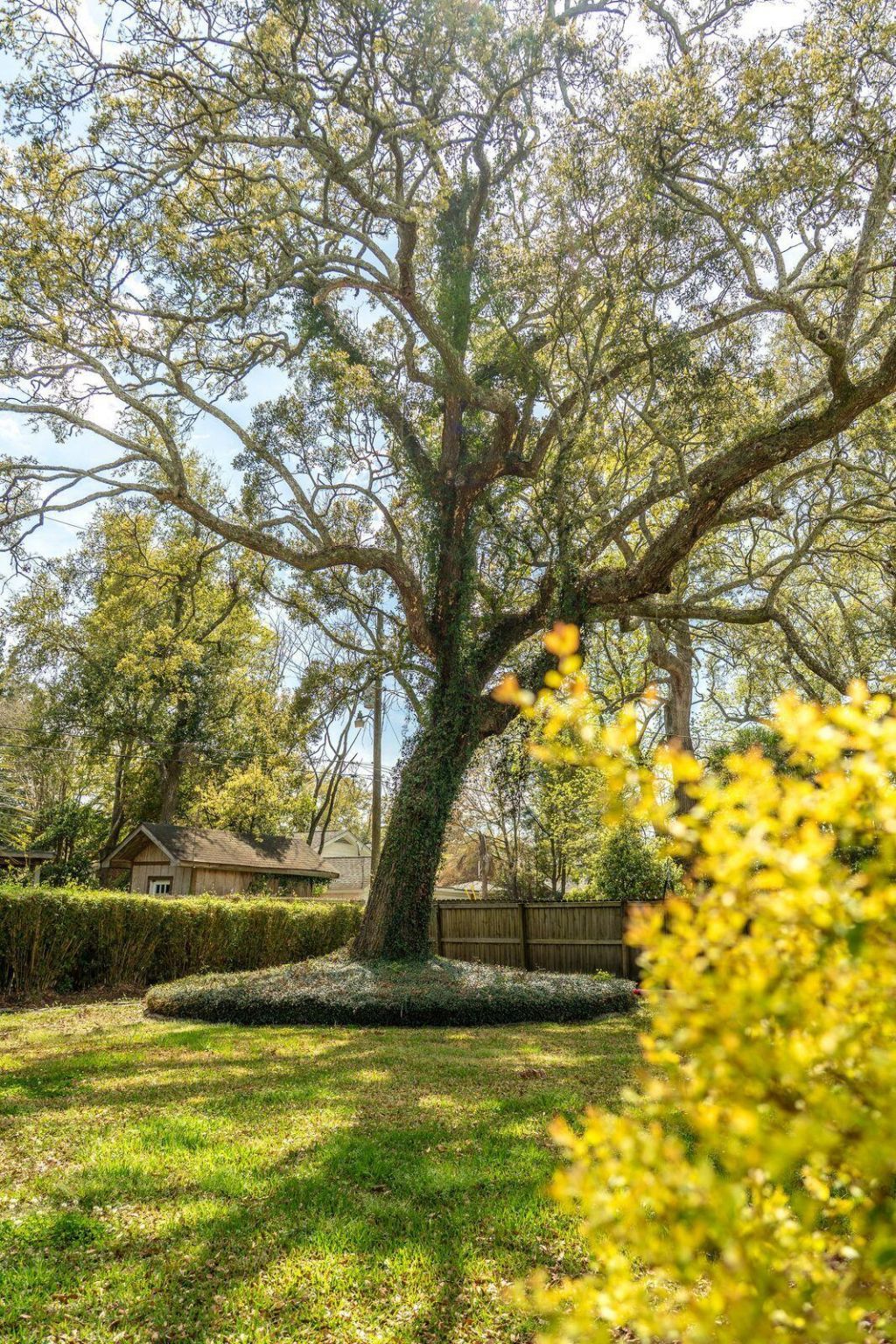 39 Riverdale Drive Photo 38