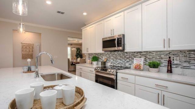 11059 N Morrell Drive, Citrus Springs, FL 34434 Photo