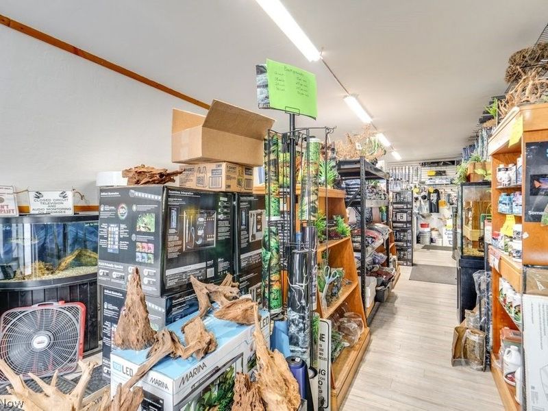 4873 Broadview Road, Cleveland, OH 44109 Photo 17