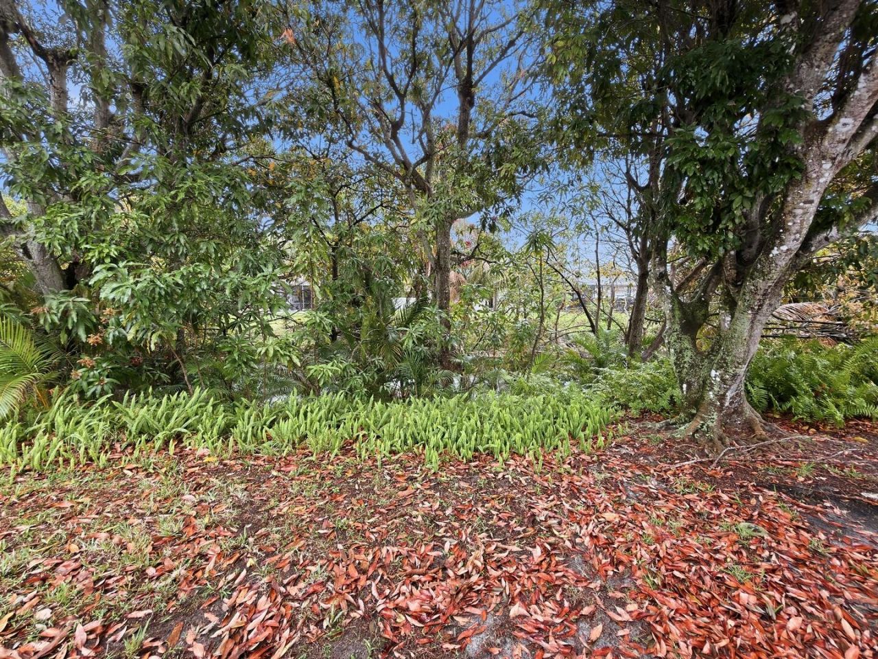 666 NW 11th Avenue, Boca Raton, FL 33486 Photo