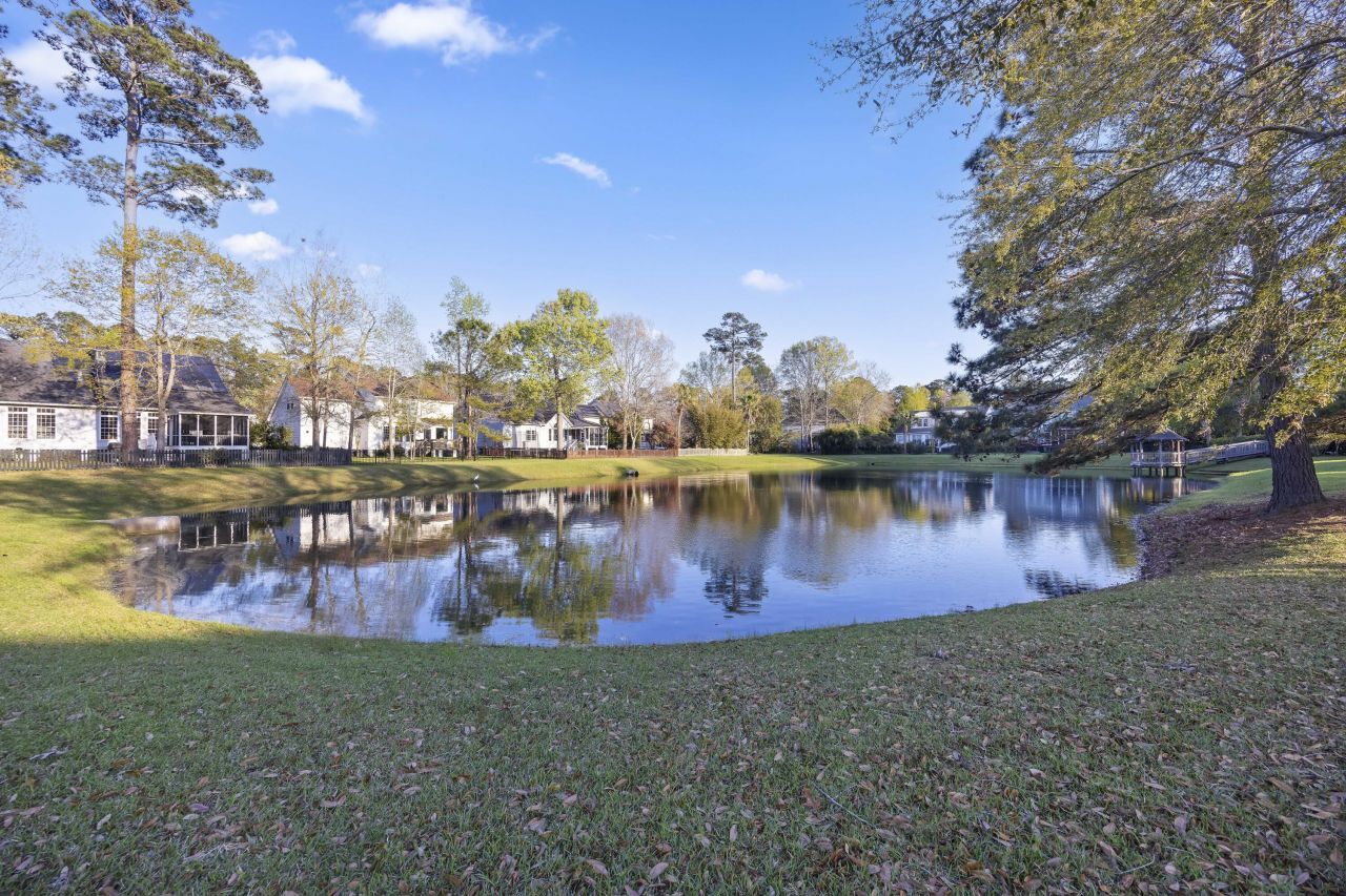 1617 William Hapton Way Photo 46