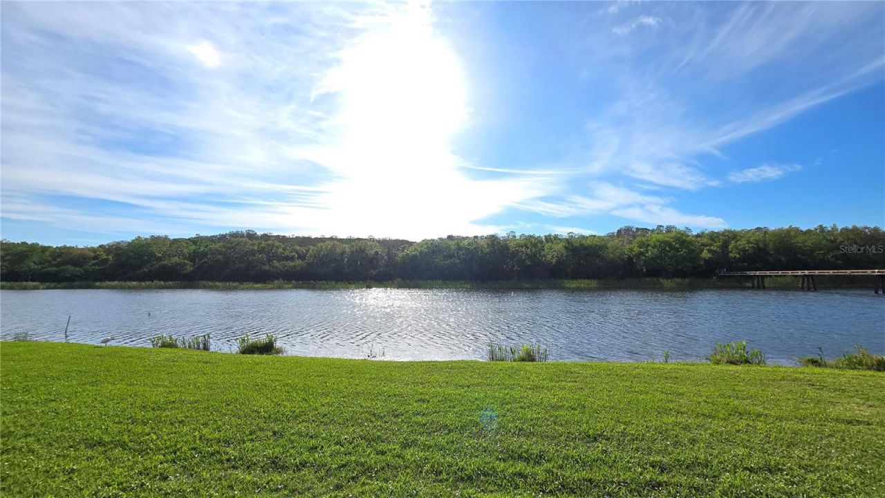 1806 Lago Vista Boulevard, Palm Harbor, FL 34685 Photo