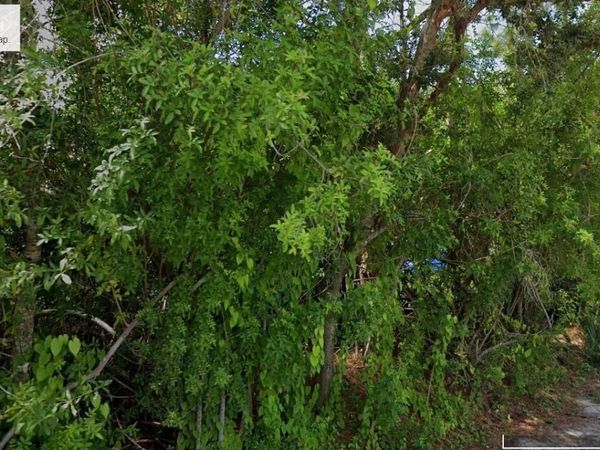 15521 ORCHID DRIVE , PUNTA GORDA, FL 33955