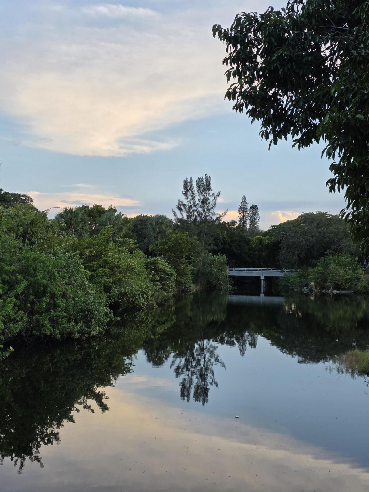 6361 N Falls Cir Drive, Unit 207, Lauderhill, FL 33319 Photo