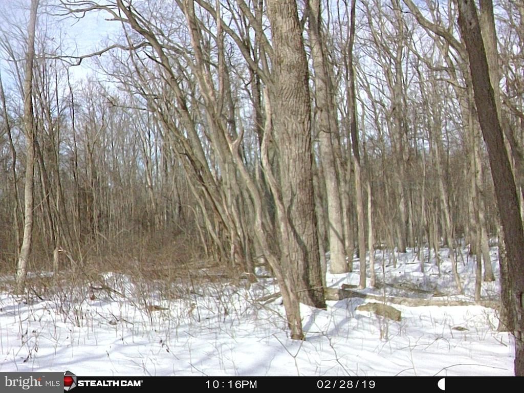 Hunters Rd, Frederick, VA 22656 Main Photo