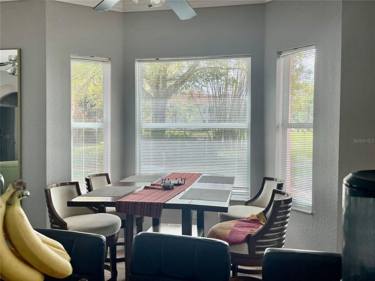 21007 Los Cabos Court, Land O Lakes, FL 34637 Photo