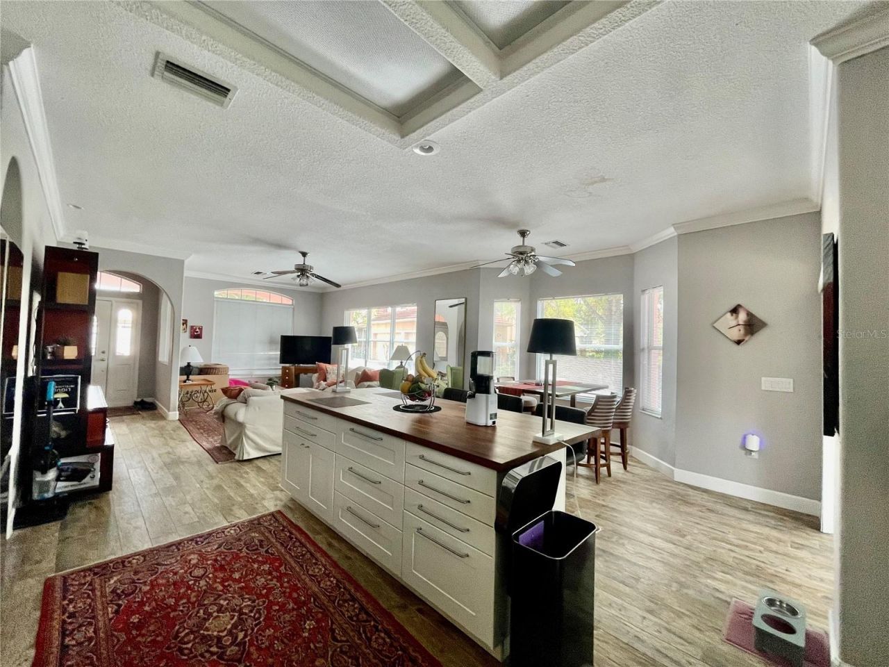 21007 Los Cabos Court, Land O Lakes, FL 34637 Photo