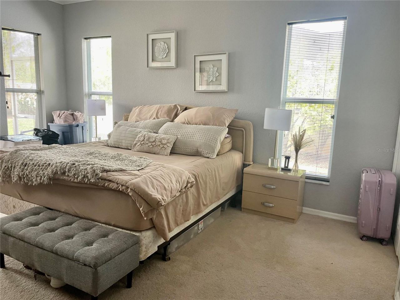 21007 Los Cabos Court, Land O Lakes, FL 34637 Photo