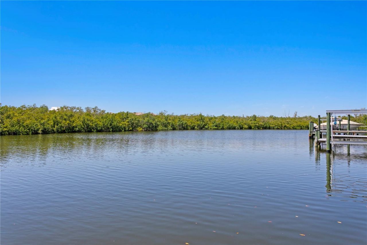 916 Seagrape Drive, Ruskin, FL 33570 Photo