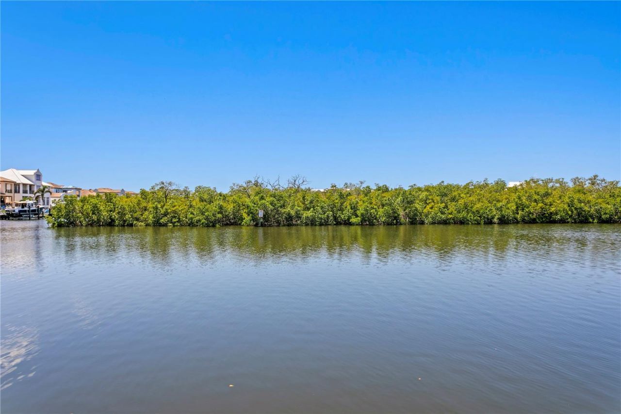 916 Seagrape Drive, Ruskin, FL 33570 Photo