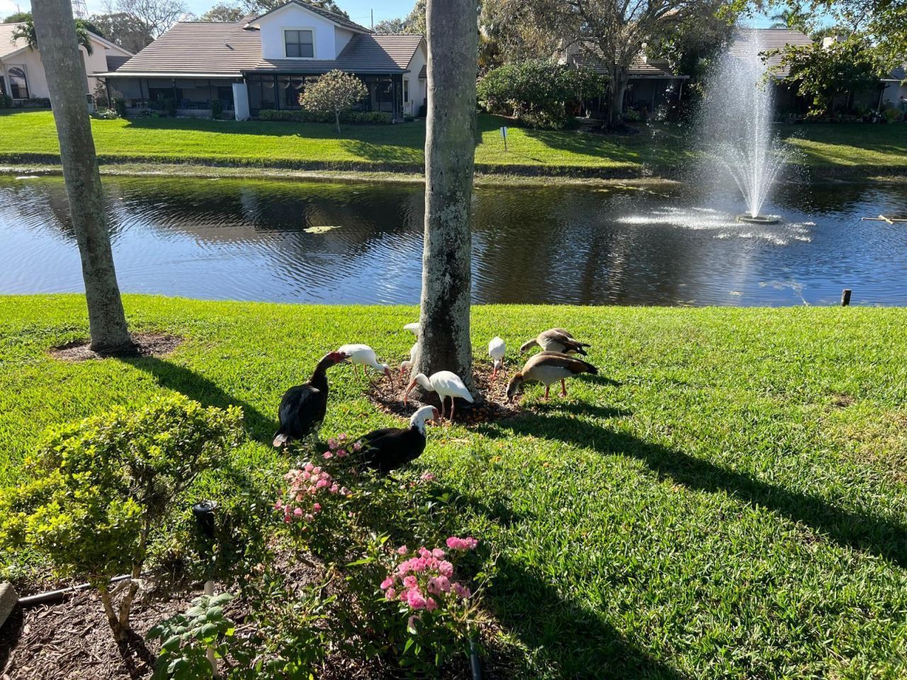 4787 Brighton Lakes Boulevard, Boynton Beach, FL 33436 Photo