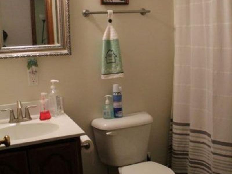 13355 Wyatt Falls Court, Leesburg, OH 45135 Photo 17