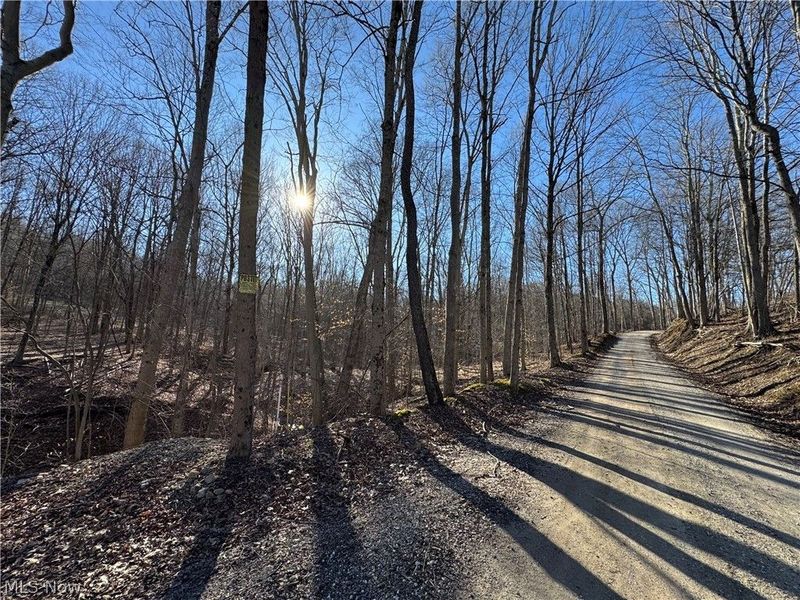 50001 Mellott Road, Jacobsburg, OH 43933 Photo 10