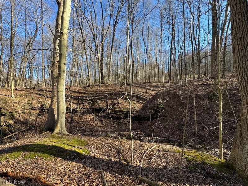 50001 Mellott Road, Jacobsburg, OH 43933 Photo 13