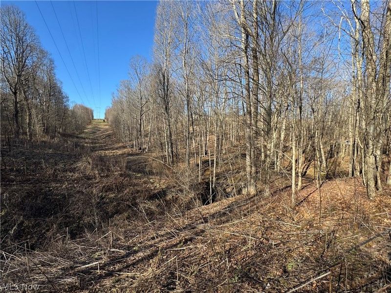 50001 Mellott Road, Jacobsburg, OH 43933 Photo 14