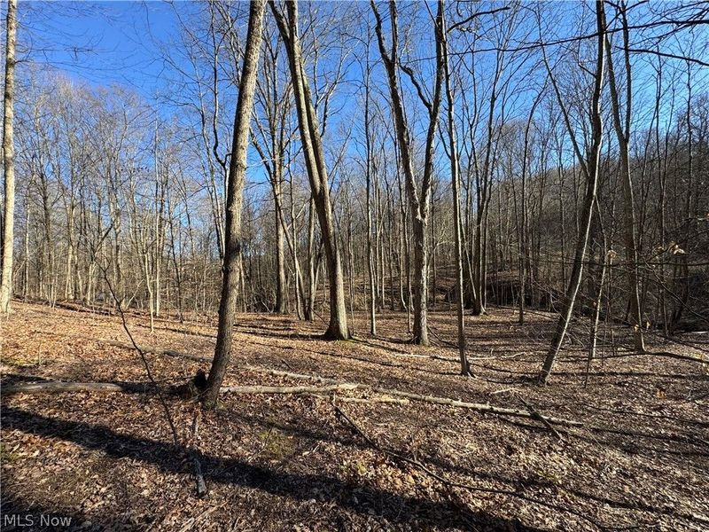 50001 Mellott Road, Jacobsburg, OH 43933 Photo 4