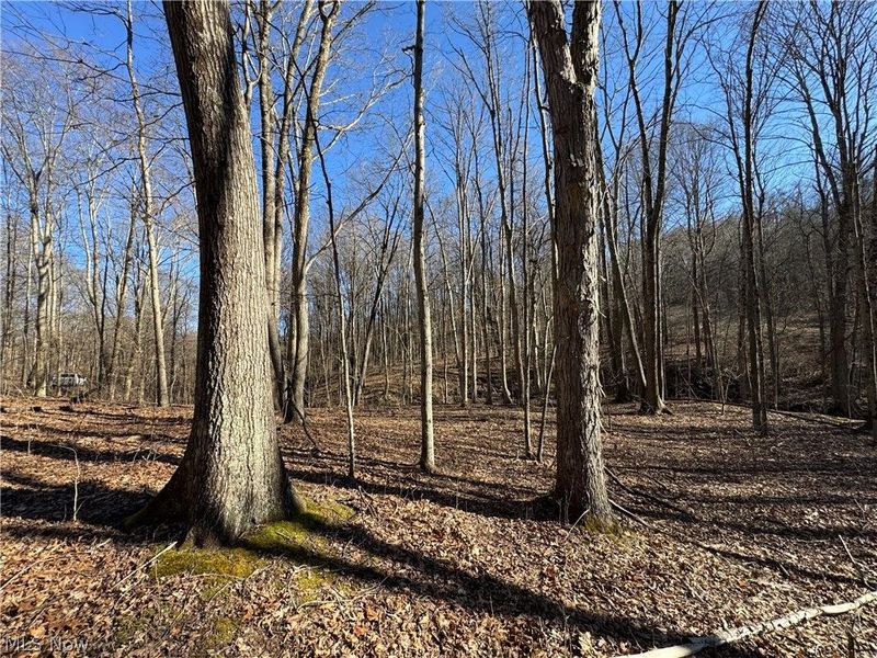 50001 Mellott Road, Jacobsburg, OH 43933 Photo 5