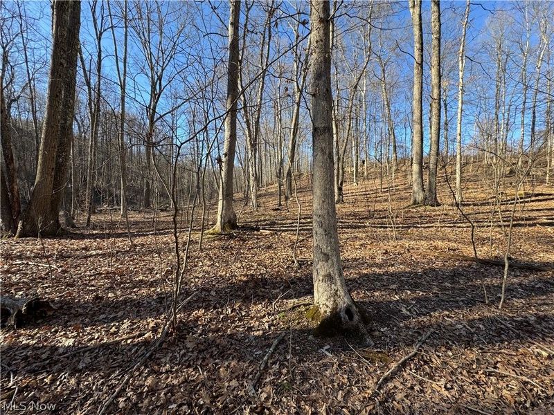 50001 Mellott Road, Jacobsburg, OH 43933 Photo 6