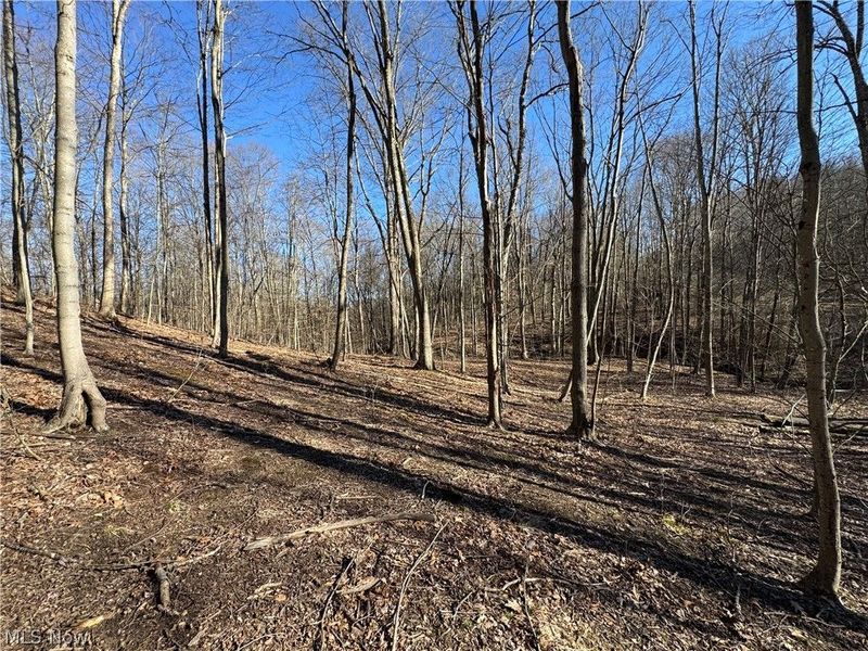 50001 Mellott Road, Jacobsburg, OH 43933 Photo 8