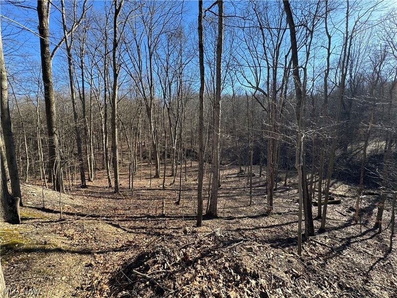 50001 Mellott Road, Jacobsburg, OH 43933 Photo 9