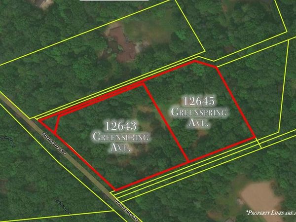 12643 GREENSPRING AVENUE, OWINGS MILLS, MD 21117