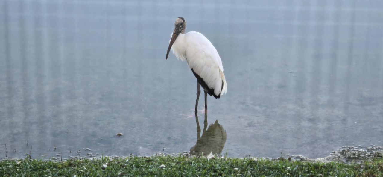 162 Plantation Boulevard, Unit 162, Lake Worth, FL 33467 Photo