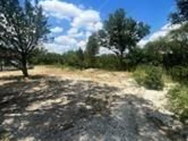 950 Bluff View Drive , Hutchins, TX 75141