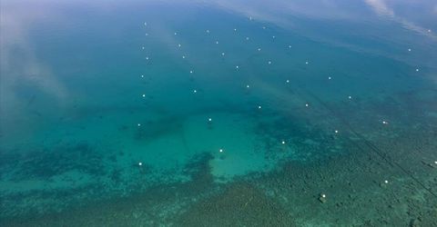 7132 8th Avenue, Tahoma, CA 96142 Photo