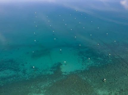 7132 8th Avenue, Tahoma, CA 96142 Photo