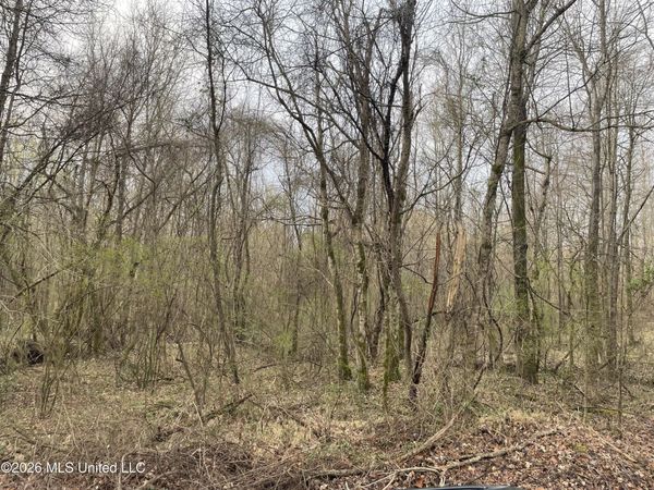 Bend Road, Coldwater, MS 38618