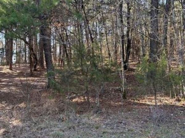 TBD PIRATE Drive, Hot Springs, AR 71913