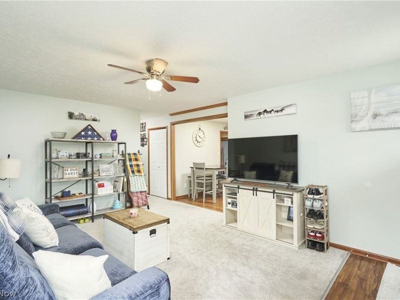 2864 Burnside Street, Akron, OH 44312 Photo 4