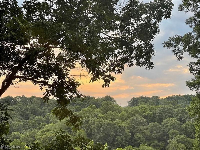 64310 Cooks Run Road, Cambridge, OH 43725 Photo 10