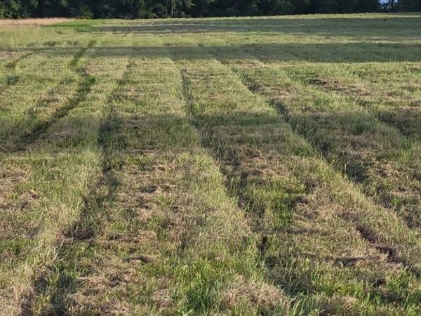 379059 E 1180 Road, Wetumka, OK 74884