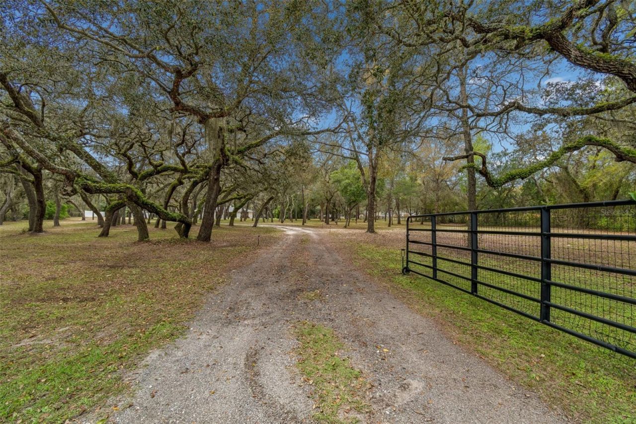 13402 Peace Boulevard, Spring Hill, FL 34610 Photo