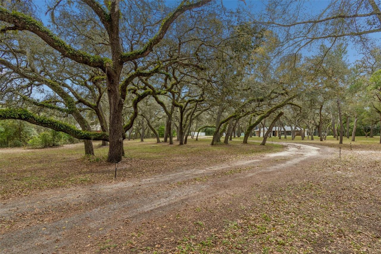 13402 Peace Boulevard, Spring Hill, FL 34610 Photo