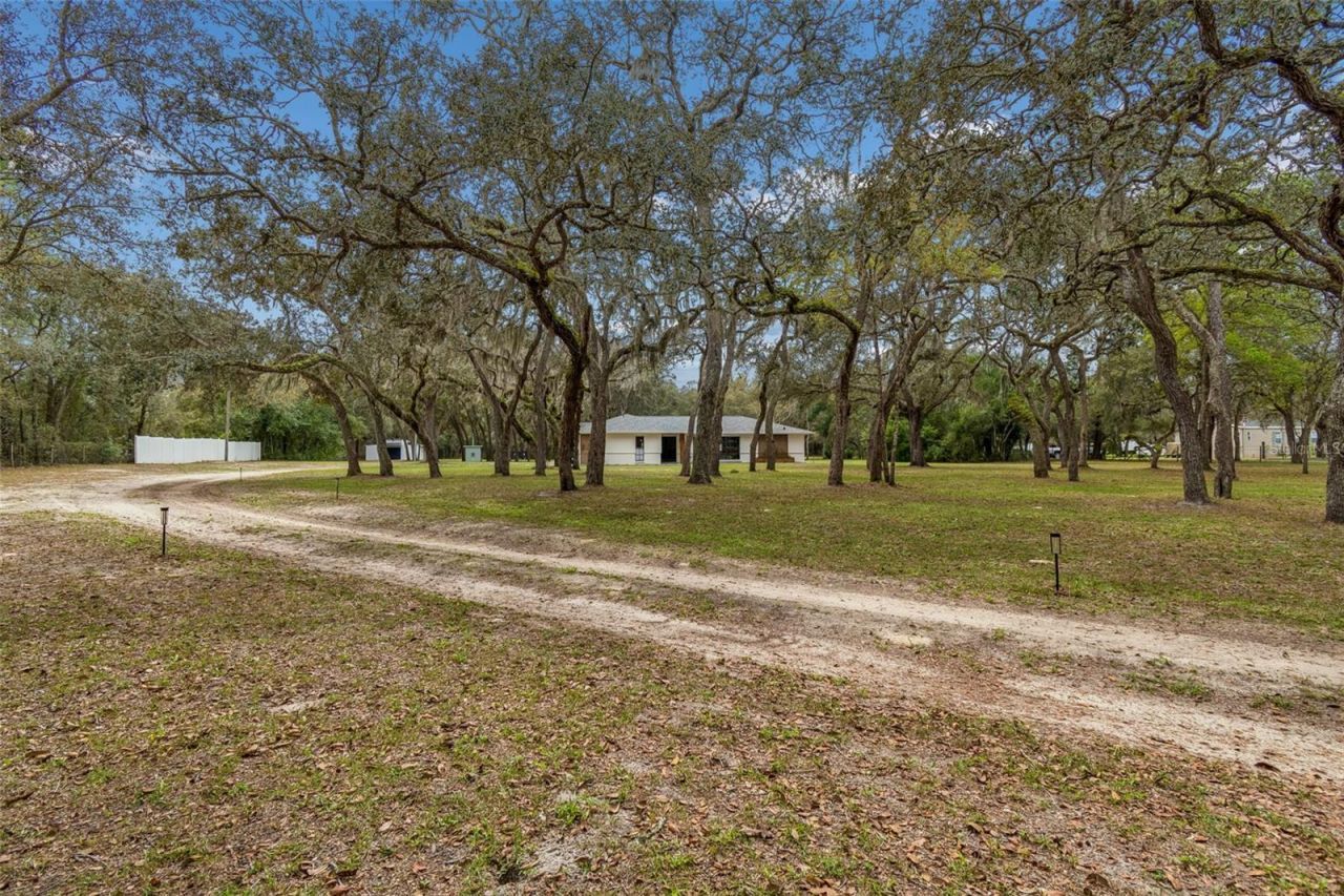 13402 Peace Boulevard, Spring Hill, FL 34610 Photo