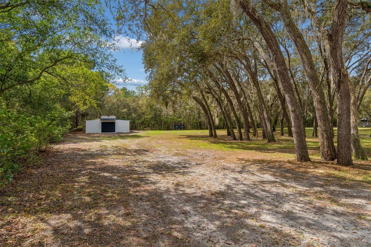 13402 Peace Boulevard, Spring Hill, FL 34610 Photo