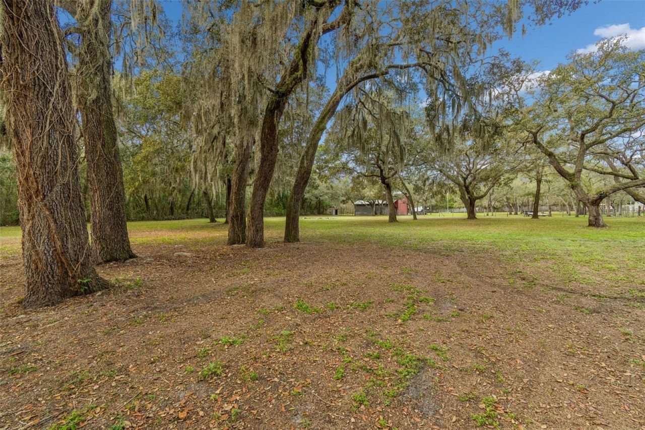13402 Peace Boulevard, Spring Hill, FL 34610 Photo